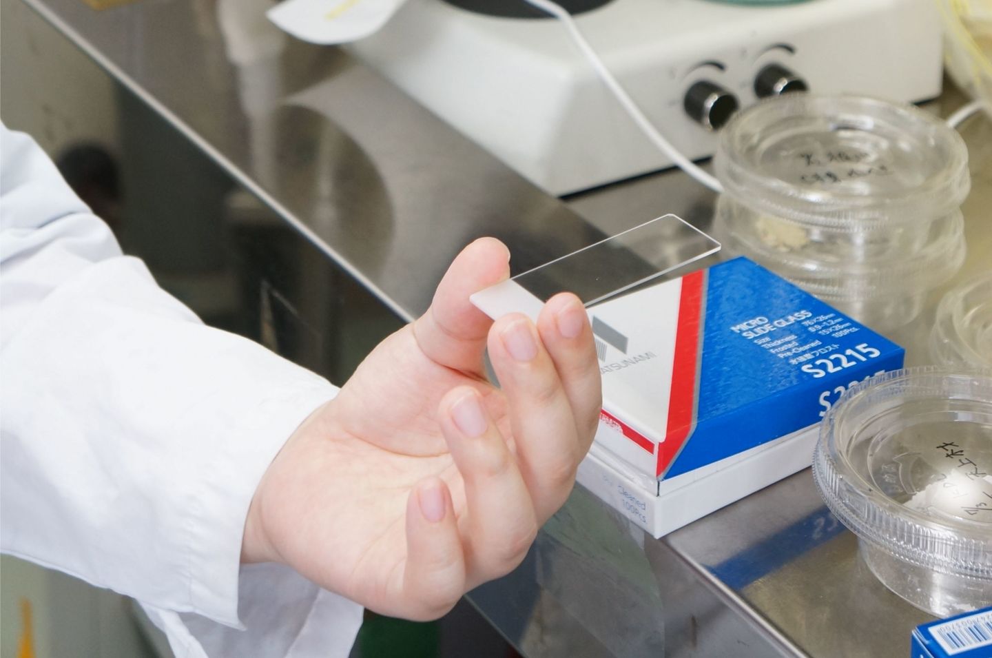 asbestos_preparation