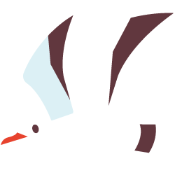 ユリカモメ イラスト